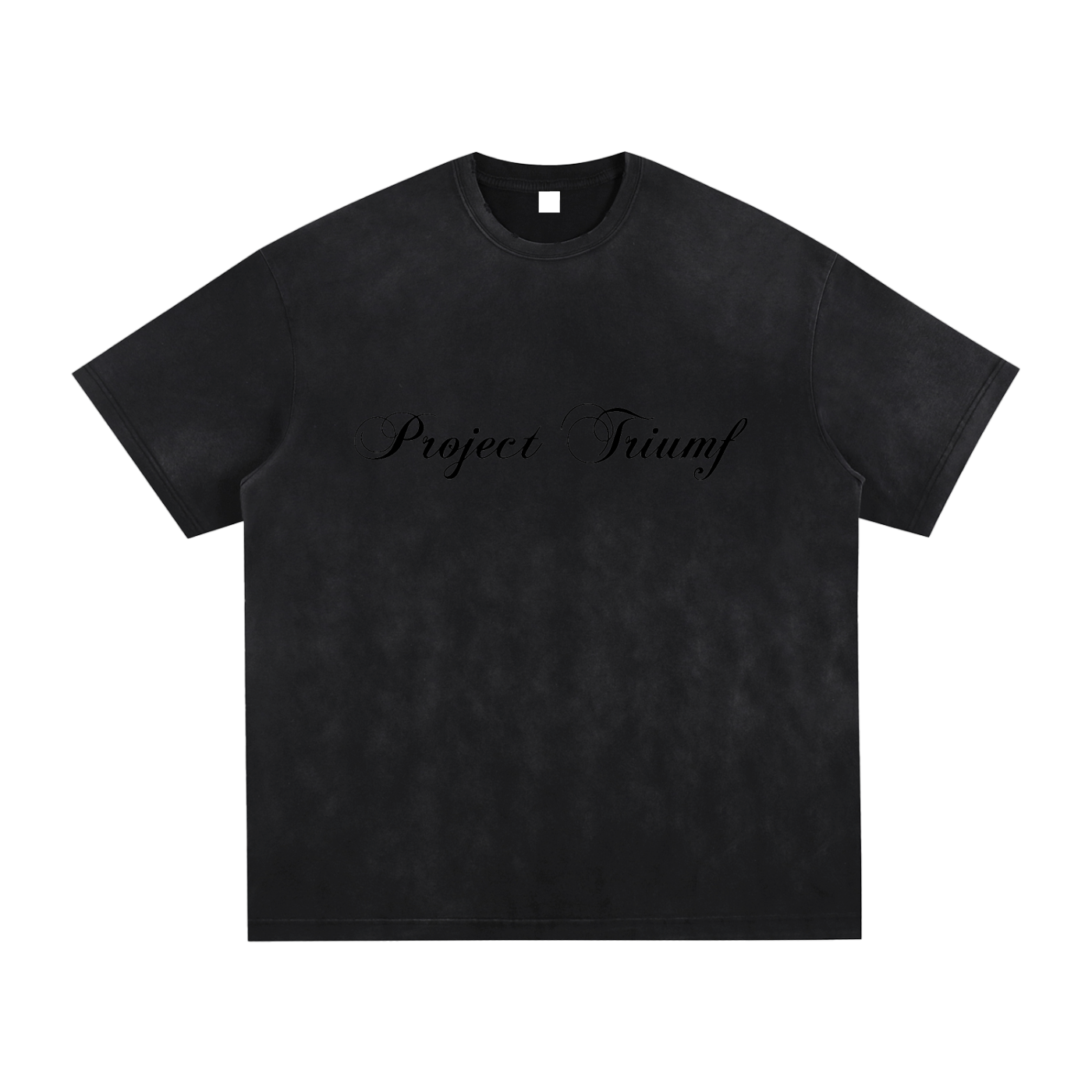 PROJECT TRIUMF LOGO Vintage Washed Hand-Frayed Tee - BLACK